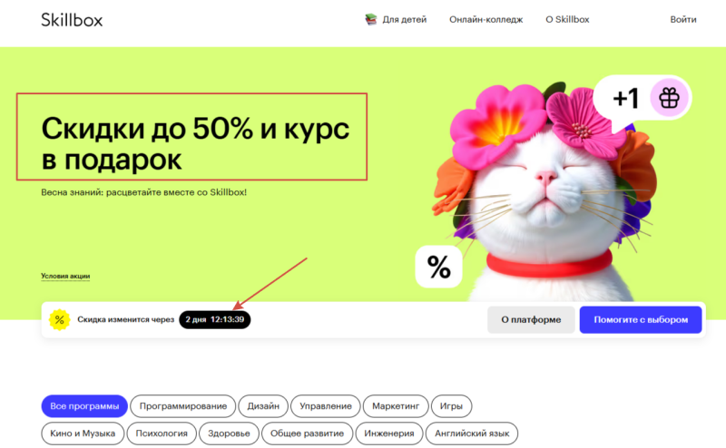 Что такое воронка продаж и как её построить