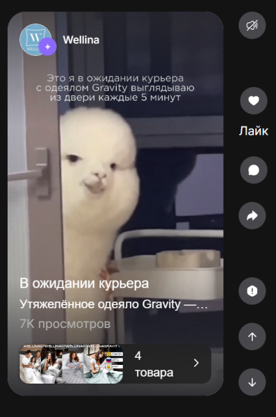 Что такое Wibes и как использовать контентплейс от Wildberries