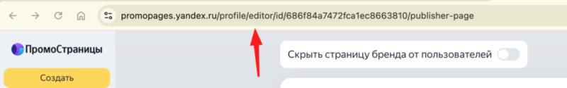 Чем полезны бизнесу ПромоСтраницы Яндекса и как настроить кампанию