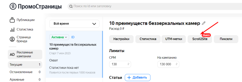 Чем полезны бизнесу ПромоСтраницы Яндекса и как настроить кампанию