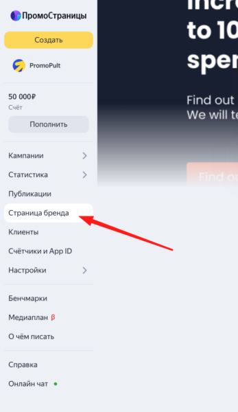 Чем полезны бизнесу ПромоСтраницы Яндекса и как настроить кампанию