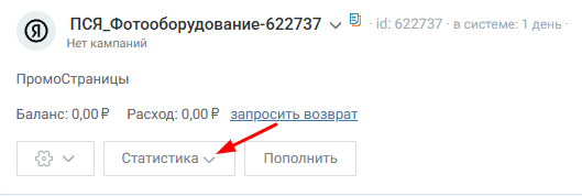 Чем полезны бизнесу ПромоСтраницы Яндекса и как настроить кампанию