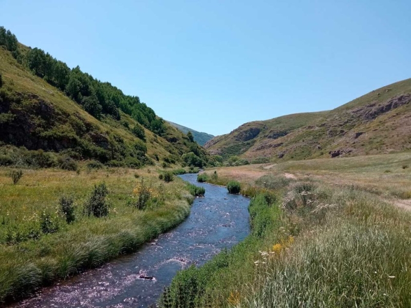 Куда уехать из России: универсальное руководство на все случаи жизни