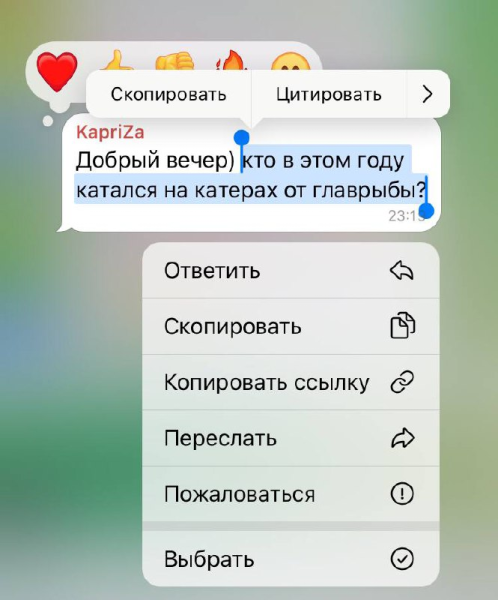 28 функций Telegram