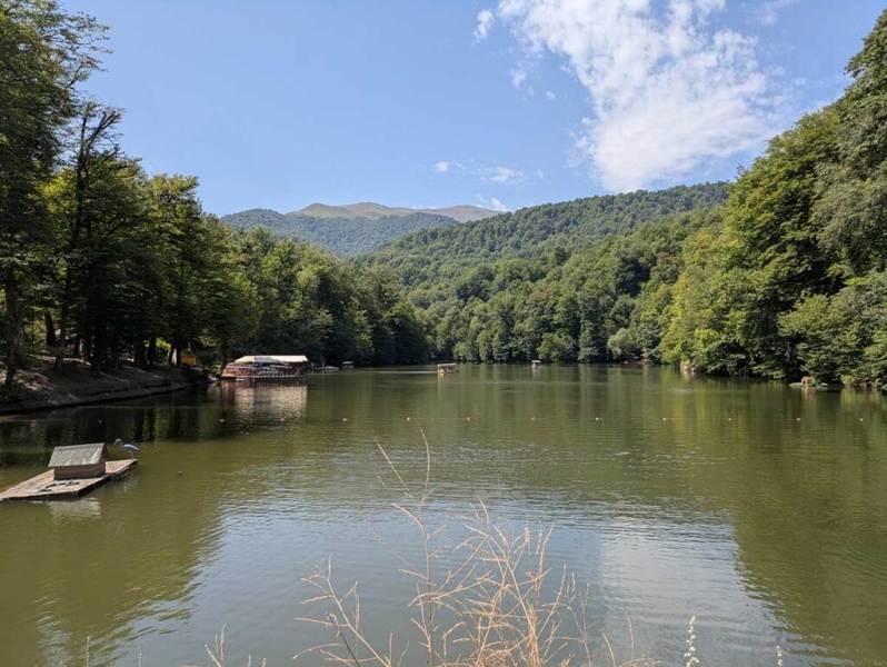 Итоги 2025 года от SEO-аспиранта: события, деньги, статистика