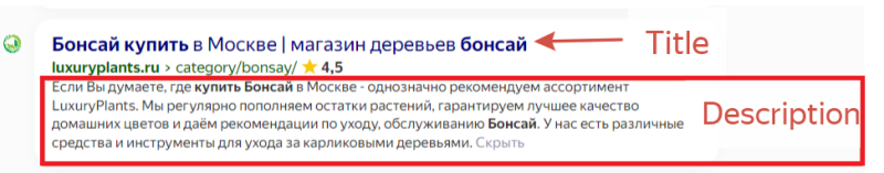 SEO для интернет-магазина: как оптимизировать сайт, чтобы получить больше трафика