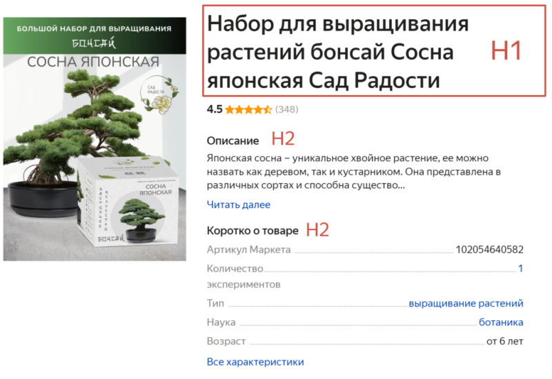 SEO для интернет-магазина: как оптимизировать сайт, чтобы получить больше трафика